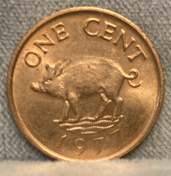Bermuda 1 Cent Coin 1971 Queen Elizabeth II Pig Design Uncertified BN Bronze