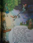 Imagen 2 de 7