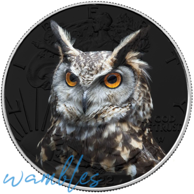 #ad Gorgeous Owl American Silver Eagle 1oz .999 Limited Edition Silver Dollar Coin $147.77