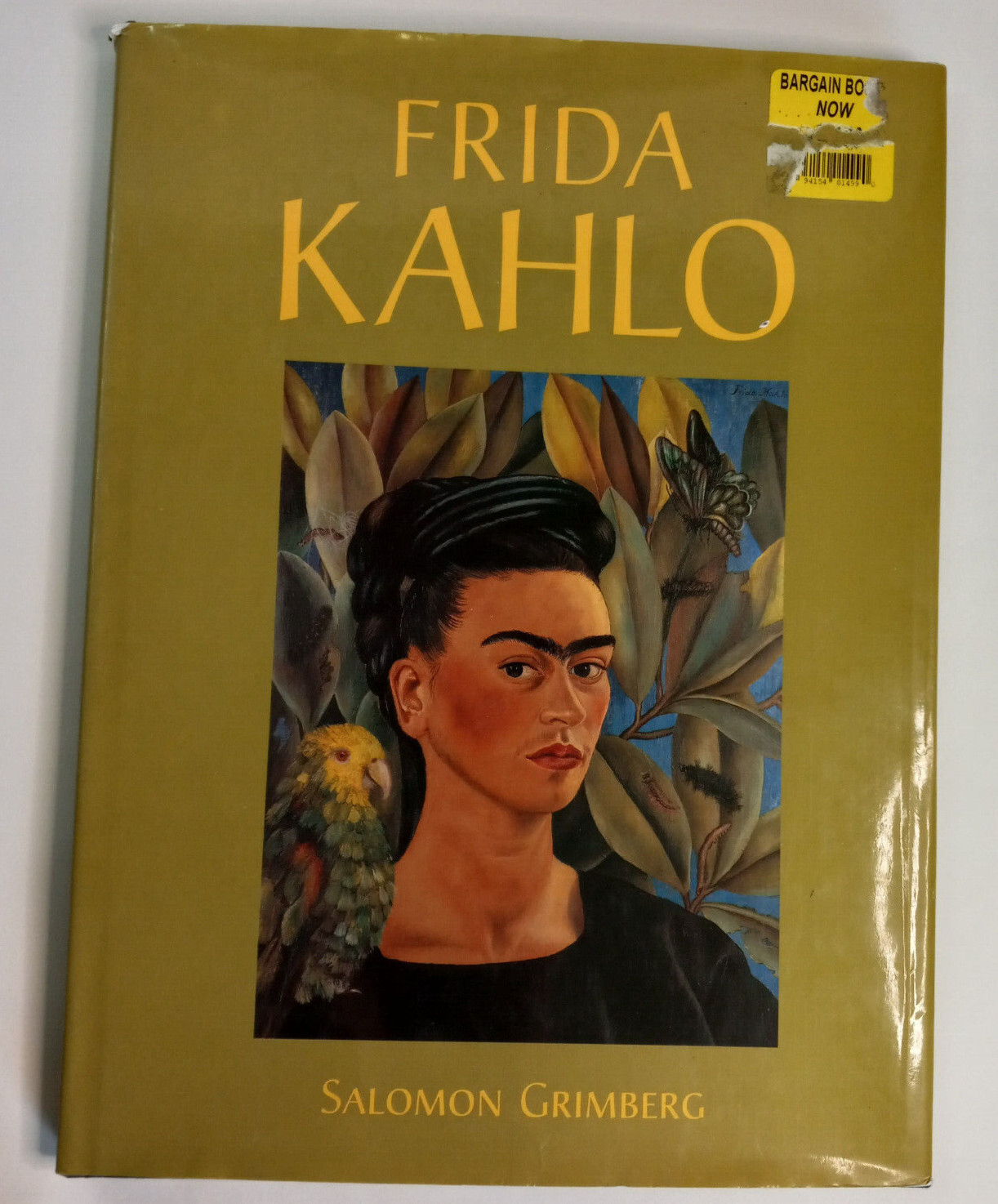 Frida Kahlo Biography Salomon Grimberg illustrated hardcover dust jacket u