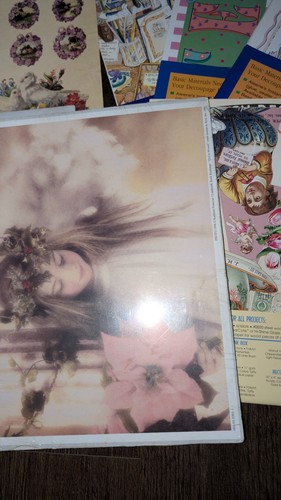 Aleene's Plaid Leisure Arts Decoupage Papers & Prints Vtg Lot Mix Of New & Used - Picture 8 of 21