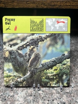 Pygmy 0wl, 1977 Editions Recontre 4 3/4'' x 4 3/4'' Card