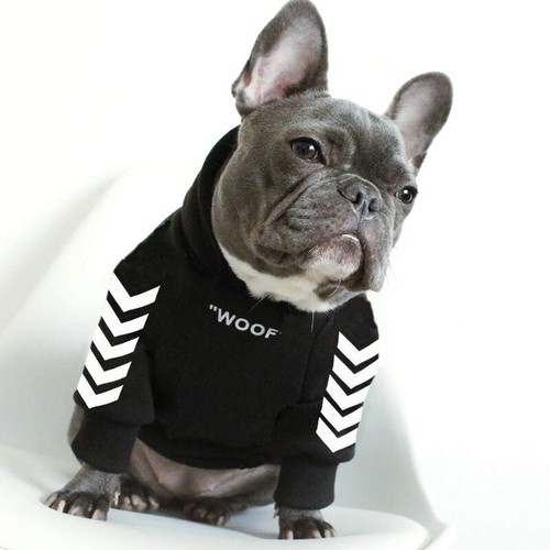 french bulldog coats ebay