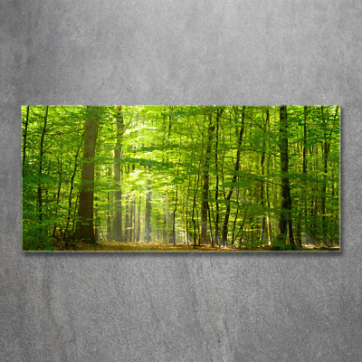 Glas-Bild Wandbilder Druck auf Glas 120x60 Deko Landschaften Laubwald