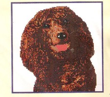 Irish Water Spaniel Counted Cross Stitch Comp...