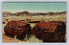 Petrified Forest AZ-Arizona, Agatized Logs, Antique Vintage Souvenir Postcard