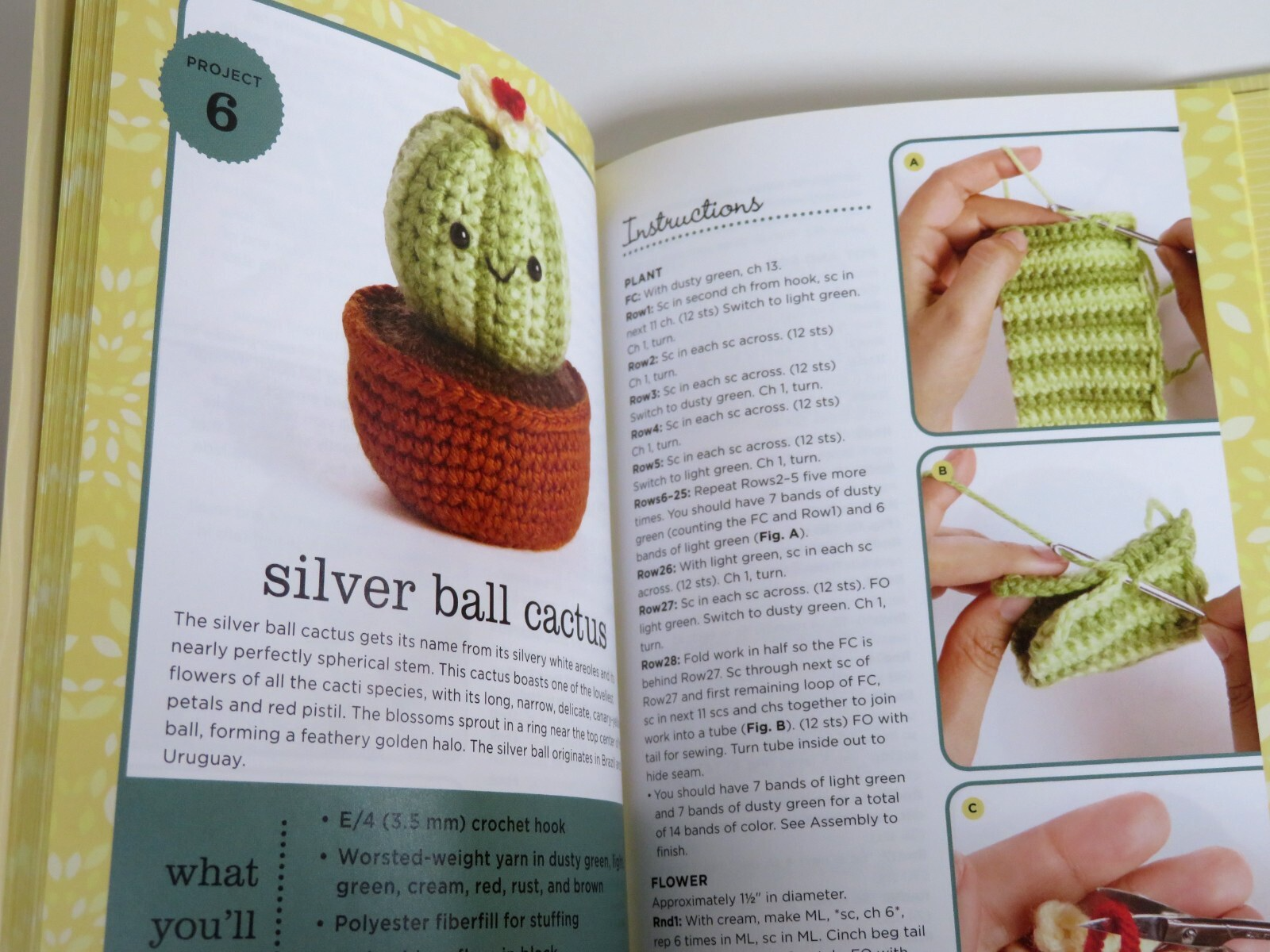 Soft & Snuggly Cacti Crochet Characters Amigurumi Kit Makes 2 Succulent ...