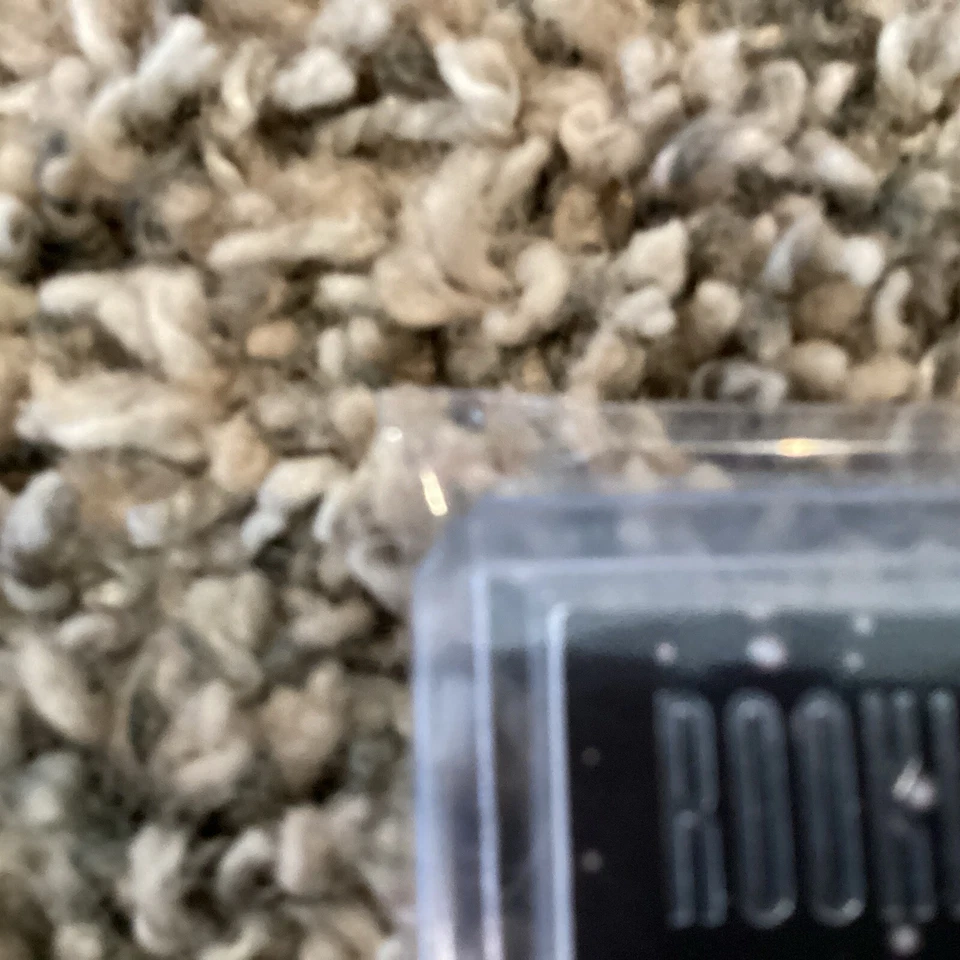 🔥🏈 2020 Panini Donruss CeeDee Lamb Rookie Holiday Sweaters 🏈🔥 - Image 2 of 4