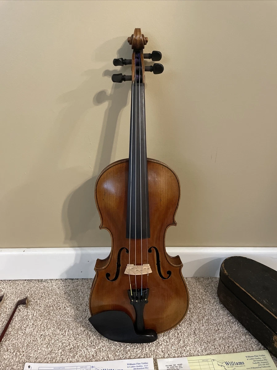 Steiner 2024 violin price