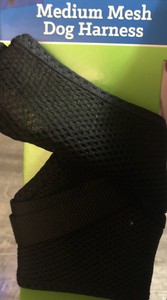 lil pals harness medium