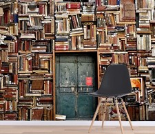 3D Precious Bookshelf R15708 Wallpaper Wall Mural Self-adhesive Removable Luna