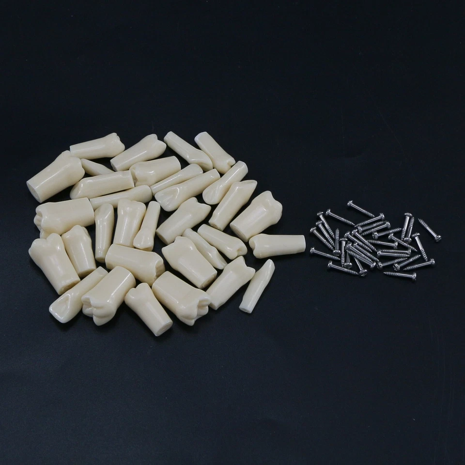 Tipo AG3 Tipo Dental Tipo Repuesto 32 PIEZAS Dientes Atornillables Modelo Frasaco M8022 Foto 4 de 4