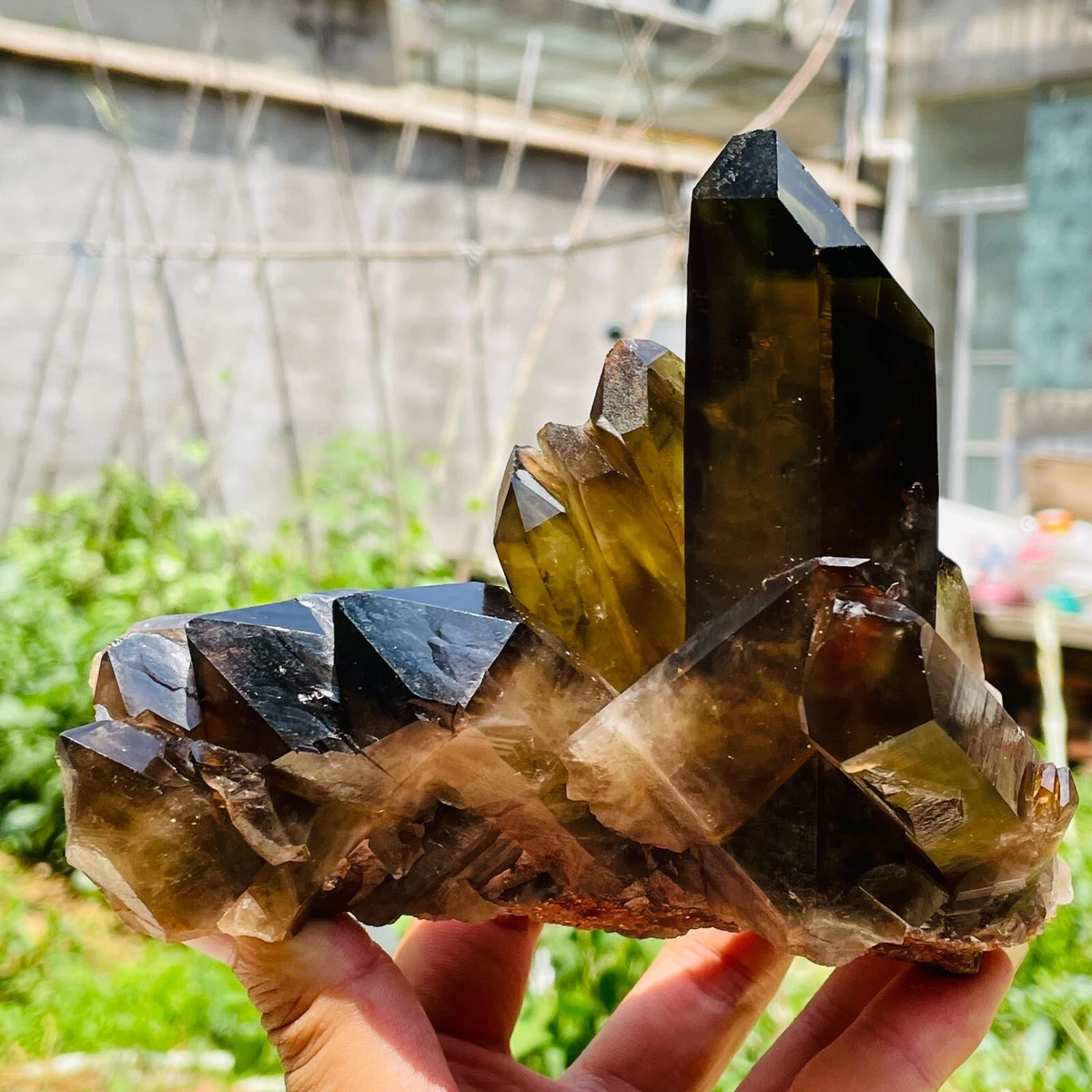 Citrine black store