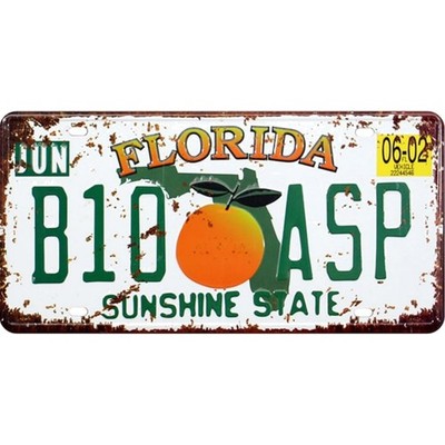 Florida B10 ASP Auto Nummernschild