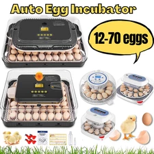 12/18/24/48/56/70 Egg Incubators for Hatching Eggs with Automatic Egg Turning US