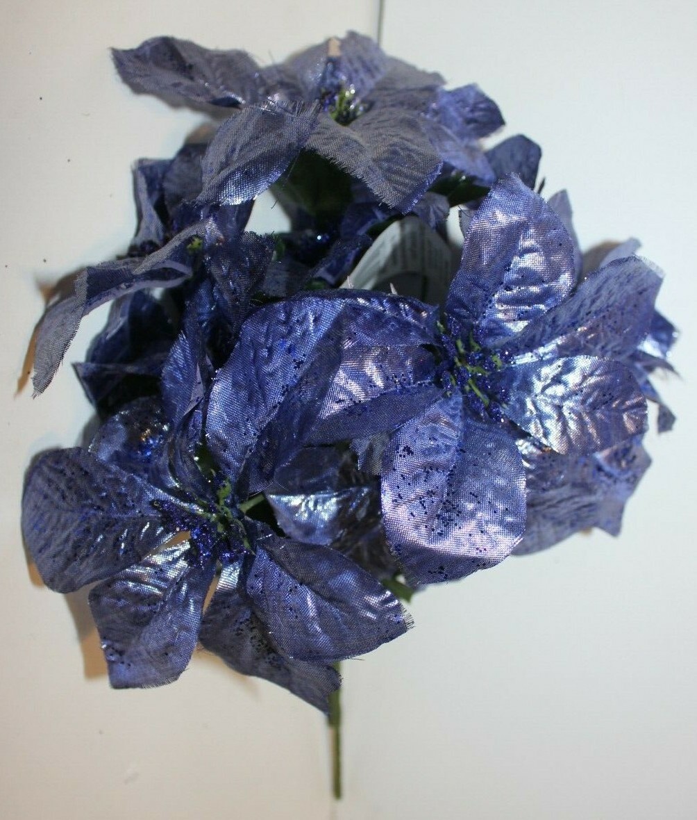 Picture 6 of 22