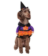 NEW Halloween Dog Pet WITCH Costume Outfit Size MEDIUM 17"