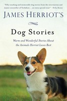 James Herriot's Dog Stories | James Herriot | Englisch | Taschenbuch | 2015