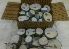 Beech  Wood Chunks/Slices for BBQ/Grilling/Wood Smoking!!!