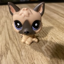 Auténtico Little Pet Shop (LPS) #1800 Little German Shepherd