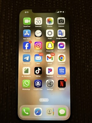 iPhone 12 Pro Max With TikTok App 