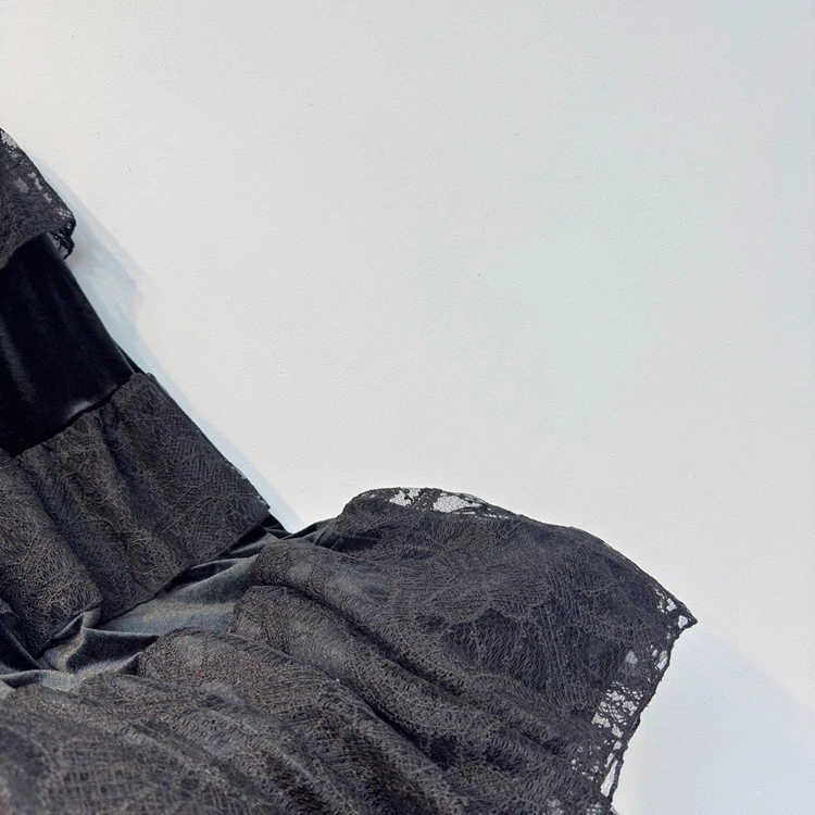 时尚刺绣蕾丝拼接天鹅绒裙女式 2025 A 字裙连衣裙 — 第 4/4 张图片