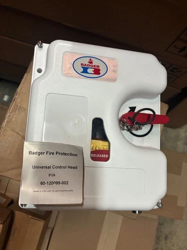 Badger Fire system control head