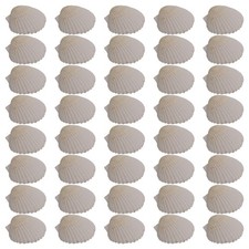 40 Stück Natürliche Jakobsmuscheln, 3,6-6,1 Cm, , Kleine Muscheln zum B5486