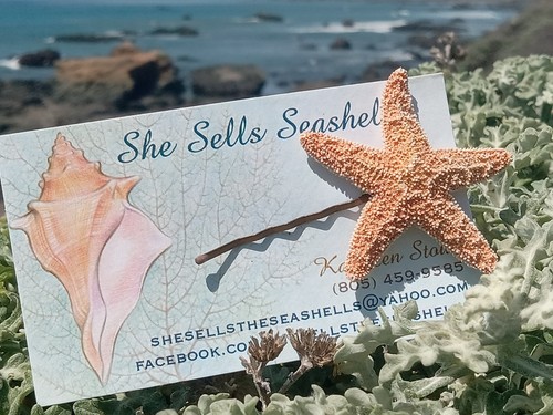 Starfish Sea Shell Beach Hair Pins