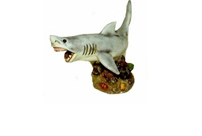 Harmony Kingdom art Neil Eyre EyreDesigns Great White Shark Sea Ocean Shell LE41