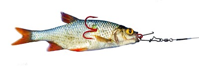 Bavaria Köderfisch System Nr.25  Bebleiung:3g, Haken Gr.: 4/0, Hakenform: gerade