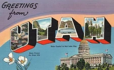 Sego Lily Flower State Capitol Greetings From Utah UT Vintage Postcard