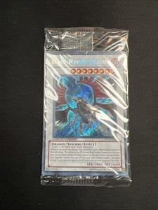 Black Winged Dragon | eBay