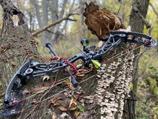 bowtech revolt x