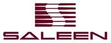 Auto064 Ford Mustang Saleen Name Car Logo Die Cut Vinyl Graphic Decal Sticker V2