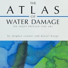 Water Damage INKJET Printed Fine Art Atlas Examples Photographs Descriptions RIT