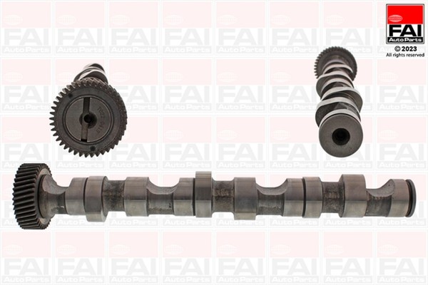Nockenwelle FAI Autoparts C247 FüR VW Skoda Audi 3B5 C5 B6 3B3 A6 Passat Allroad-image