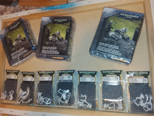 Warhammer 40.000 Necron OOP Konvolut – Heavy Destroyer, Flayed Ones (10), Wraith
