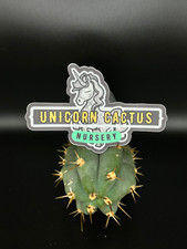Logo Sticker