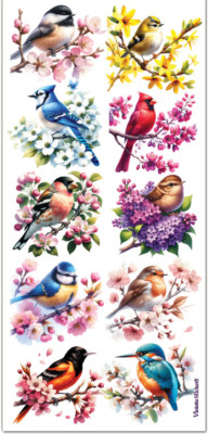 Violette Stickers Watercolor Realistic Birds Crafts Planner Supply Cardinal Jay