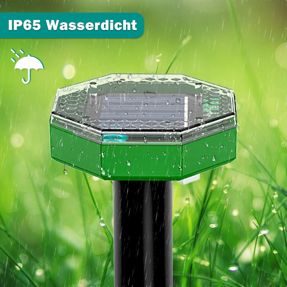 Bild 8 von 16