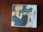 Senran Kagura Burst Nintendo 3DS