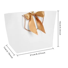 Gift Paper Bags with Handle 10pcs for Shopping Makeup Food Packaging 21x7x15cm