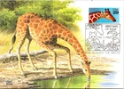 Dr Jim Stamps Maximum Card 29C Giraffe First Day Issue