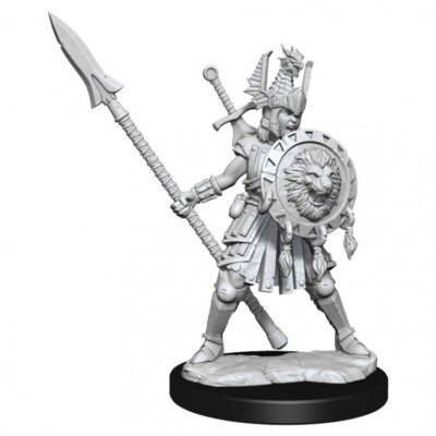 HUMAN FIGHTER FEMALE Wizkids Dungeons & Dragons Frameworks Miniatures WZK75025