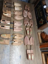 Shoe Trees Lot Allen Edmonds,  Woodlore M  7 Pairs