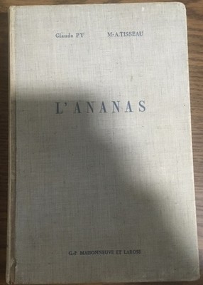 L'Ananas B4R3