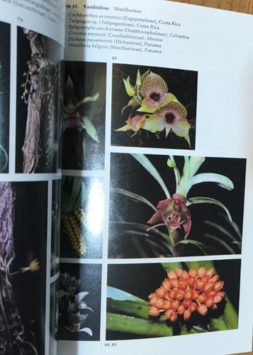 The Orchids: Natural History and Classification - Imagen 4 de 4