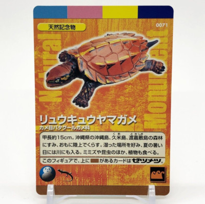 Geoemyda japonica Japanese natural monument trading card TCG Kaiyodo Rare
