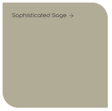 Dulux Matt 2.5L for walls and ceilings over 200 colours tinted to order